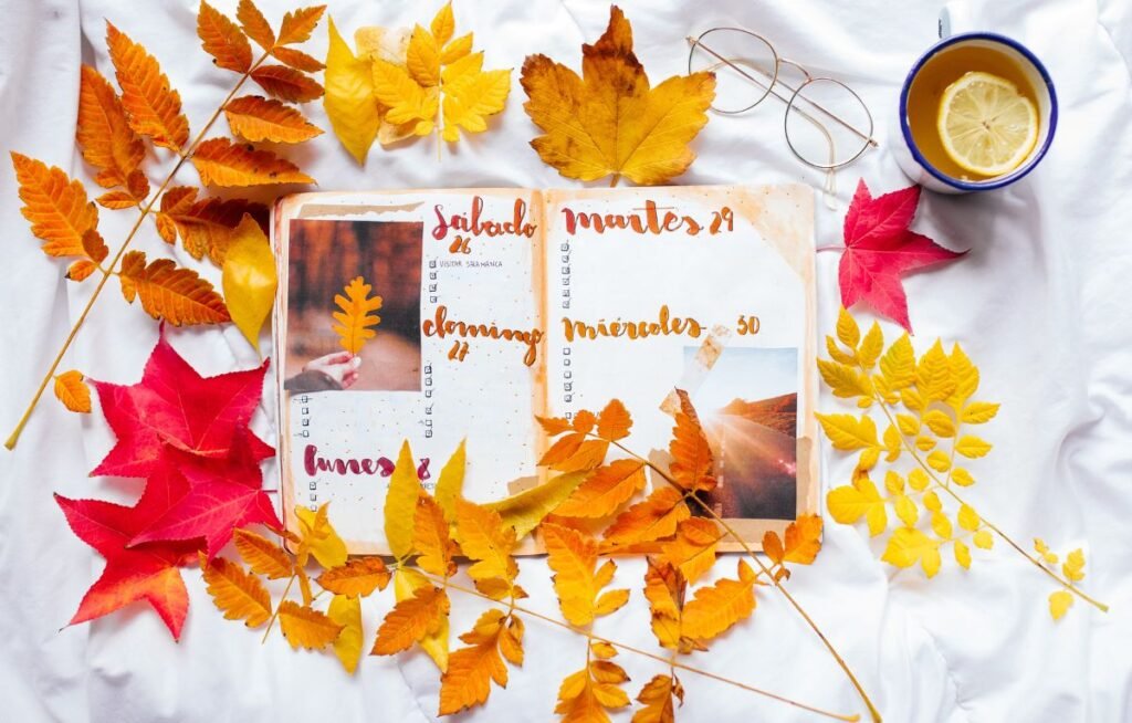 Creative Power of Your Bullet Journal Key