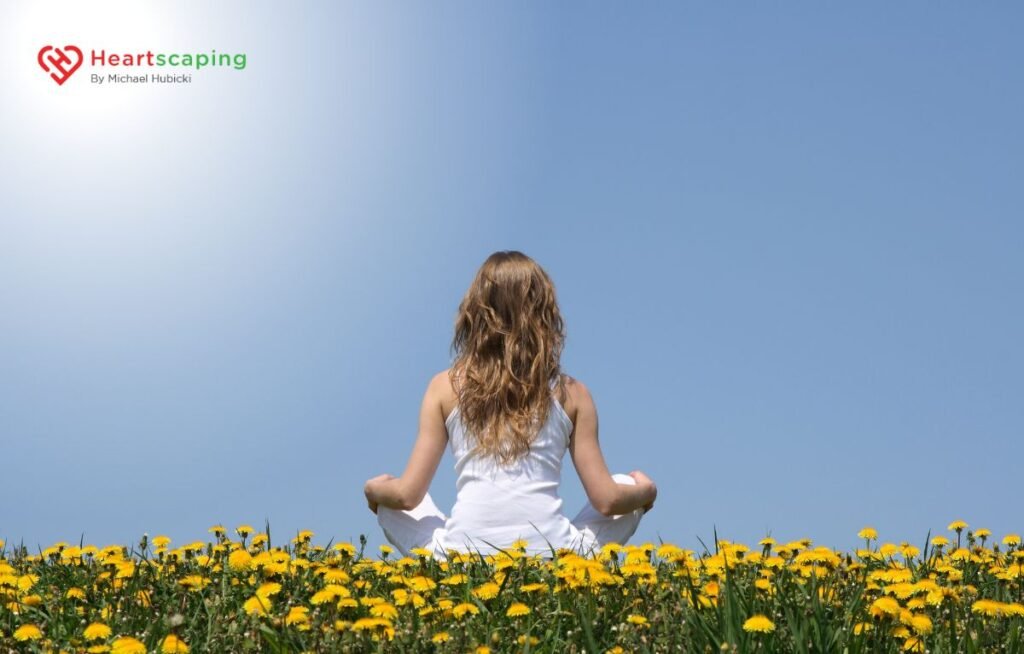 mindfulness vs meditation